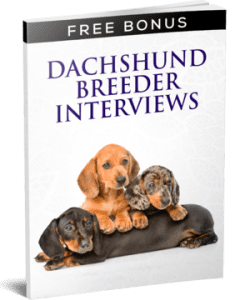 dachshund breeder interviews