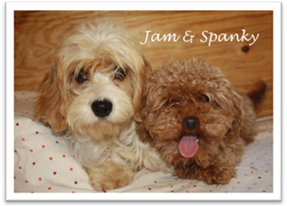 Jam and Spanky