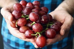 grapes_and_raisins
